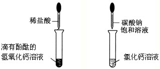 ��Ӣ�ҽ̾W(w��ng)