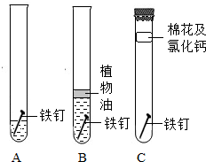 ��Ӣ�ҽ̾W(w��ng)