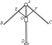 ��Ӣ�ҽ���