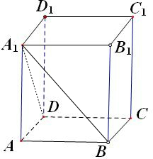 ��Ӣ�ҽ���