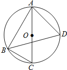 ��Ӣ�ҽ̾W(w��ng)