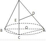 ��Ӣ�ҽ���