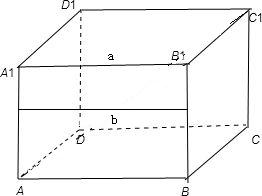 ��Ӣ�ҽ̾W(w��ng)