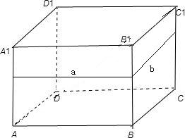 ��Ӣ�ҽ̾W(w��ng)