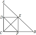 ��Ӣ�ҽ̾W(w��ng)