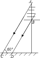 ��Ӣ�ҽ̾W(w��ng)