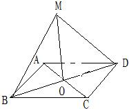 ��Ӣ�ҽ̾W(w��ng)