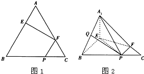 ��Ӣ�ҽ̾W(w��ng)