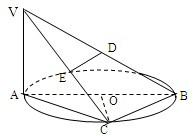 ��Ӣ�ҽ̾W(w��ng)