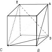 ��Ӣ�ҽ���