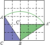 ��Ӣ�ҽ̾W(w��ng)