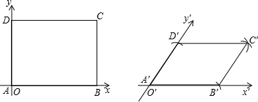 ��Ӣ�ҽ���