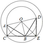 ��Ӣ�ҽ̾W(w��ng)