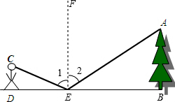 ��Ӣ�ҽ���