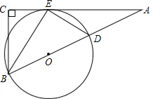 ��Ӣ�ҽ̾W(w��ng)