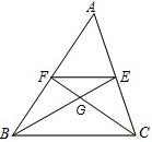 ��Ӣ�ҽ̾W(w��ng)