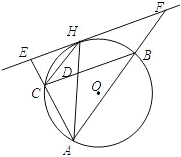 ��Ӣ�ҽ���