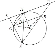 ��Ӣ�ҽ���