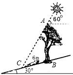 ��Ӣ�ҽ̾W(w��ng)