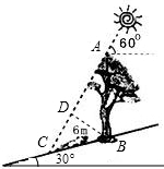 ��Ӣ�ҽ̾W(w��ng)