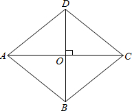 ��Ӣ�ҽ̾W(w��ng)