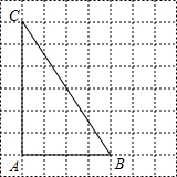 ��Ӣ�ҽ���