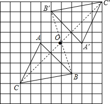 ��Ӣ�ҽ̾W(w��ng)