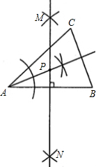 ��Ӣ�ҽ���