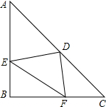 ��Ӣ�ҽ̾W(w��ng)