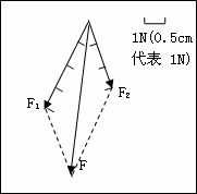 ��Ӣ�ҽ���