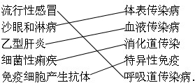 ��Ӣ�ҽ���