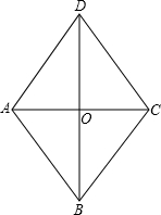 ��Ӣ�ҽ̾W(w��ng)