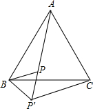 ��Ӣ�ҽ���