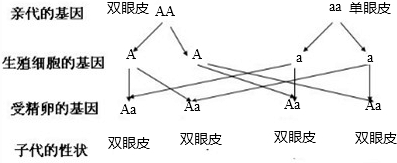 ��Ӣ�ҽ���