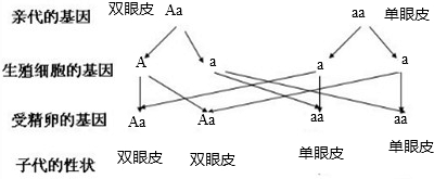 ��Ӣ�ҽ���