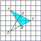 ��Ӣ�ҽ���