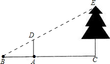 ��Ӣ�ҽ���