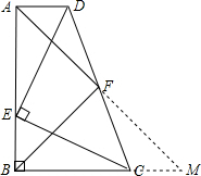 ��Ӣ�ҽ̾W(w��ng)