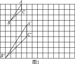 ��Ӣ�ҽ̾W(w��ng)