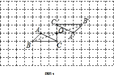 ��Ӣ�ҽ̾W(w��ng)