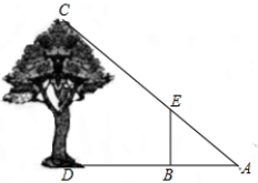 ��Ӣ�ҽ̾W(w��ng)