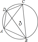 ��Ӣ�ҽ̾W(w��ng)