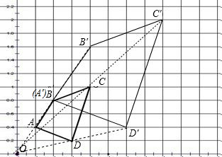 ��Ӣ�ҽ���