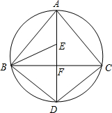 ��Ӣ�ҽ̾W(w��ng)