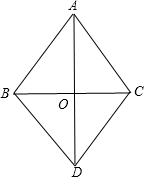 ��Ӣ�ҽ̾W(w��ng)