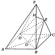 ��Ӣ�ҽ���