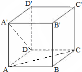 ��Ӣ�ҽ̾W(w��ng)