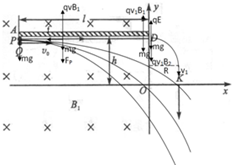 ��Ӣ�ҽ̾W(w��ng)