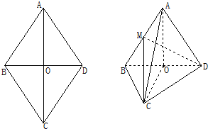 ��Ӣ�ҽ���