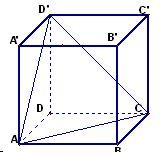 ��Ӣ�ҽ���